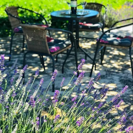 Mirjana Homestay